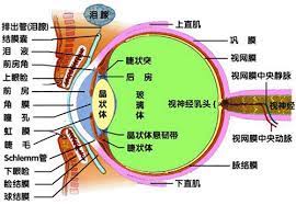 Manage your video collection and share your thoughts. ç«çŠ¶è‚Œç—‰æŒ› 360ç™¾ç§'