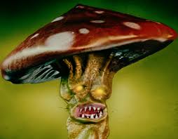 Evil Creature Projects :: Photos, videos, logos, illustrations and branding  :: Behance