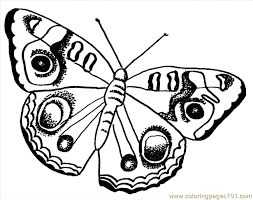 Butterfly coloring pages free to print. Ye Butterfly Coloring Pages L Coloring Page For Kids Free Butterfly Printable Coloring Pages Online For Kids Coloringpages101 Com Coloring Pages For Kids