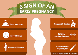 Pin On Pregnancy
