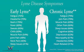 Boala lyme este o boală infecțioasă a căpușelor. Viata Mea Dupa Boala Lyme Septembriejoi
