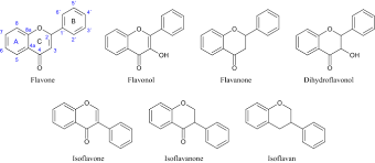 Image result for Ptycholobium contortum