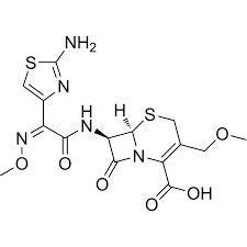 Image result for Cefpodoxime