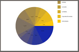 Gnuplot Pie Chart Placing Labels On Left Cant See Them