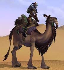 A camel with one hump is a dromedary and a camel with two humps is a bactrian camel. One Hump Or Two Achievement World Of Warcraft