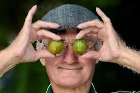 IN PICTURES: Photos and results from Egton Bridge Old Gooseberry Show 2024