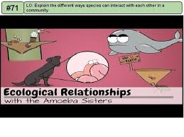 Answer key for pogil ecological relationships pdf fileanswer key for pogil ecological relationships author: 70 Lo Explain What The Topic Of Ecology