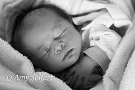 Amy Seifert Photography