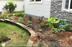 Maybe you would like to learn more about one of these? Foundation Planting Basics Design Tips Detailed Step By Step Guide