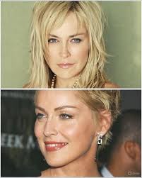 Sharon Stone's acting career and legacy