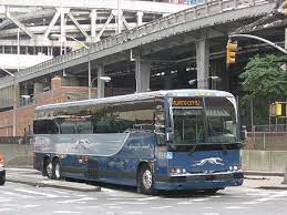 Greyhound Lines Greyhound Bus Greyhound Bus