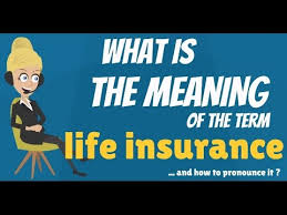 The first step in life insurance planning is to analyze your life insurance needs — meaning the economic needs of understand what your beneficiaries will receive upon your death. What Is Life Insurance What Does Life Insurance Mean Life Insurance Meaning Explanation Youtube