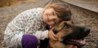 Check spelling or type a new query. Middle Tennessee German Shepherd Rescue