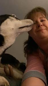 A little humor for today ❤️ Them: 'So, are you seeing anyone right now?!'  Me: 'Like, dating, a therapist or hallucinations?' Them: 'Nevermind.'