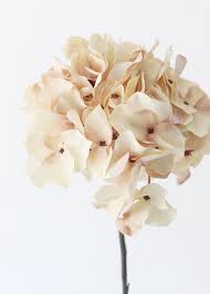Hd quality free for commercial use ready to download! Affordable Cream Hydrangea Flower For Home Decor Faux Flowers Hydrangea Flower Fake Hydrangeas