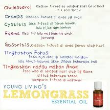 Murah Meriah Manjur Minyak Esensial Young Living Hidup Sehat