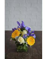 We did not find results for: Birthday Flower Delivery In Raleigh Nc Fallon S Flowers
