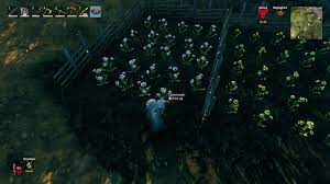 There are currently only 3 trees right now that drop seeds, making the other ones scarce and require that you search outland to find more. How To Get Carrot Seeds In Valheim Gamepur