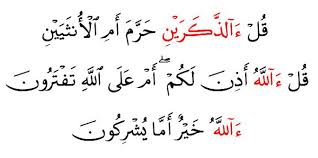 Misalnya ada pertanyaan dalam pelajaran pai kelas ix smp atau kelas 6. Contoh Mad Arid Lissukun Beserta Surat Dan Ayatnya Masnurul