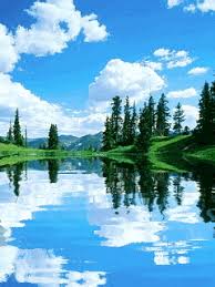 129364w9496440 4y39 Gif 240 320 Nature Iphone Wallpaper Nature Wallpaper Nature Pictures