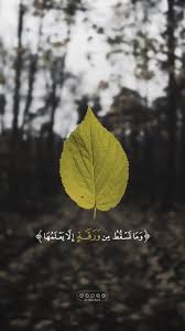 And those who strive hard for us, we will certainly guide them in our ways; 100 Quotes Aesthetic Islamic Wallpaper Aesthetic Islamic Noken Wallpaper Collection