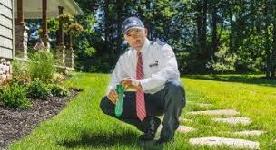 83 reviews from home paramount pest control employees about home paramount pest home paramount pest control employee reviews. Home Paramount Pest Control Since 1939 1 888 888 Home Free Inspection