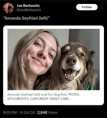 My favourite joke genre : r/NonPoliticalTwitter