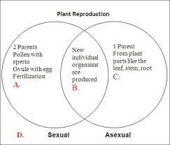 Compare The Venn Diagram Of Sexual Reproduction And Asexual
