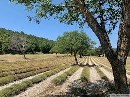 Lugares para ver, formas de recorrer y experiencias destacadas. Tournus St Pierre De Boeuf Dieulefit 22 08 2019 27 08 2019 Lj7710 De