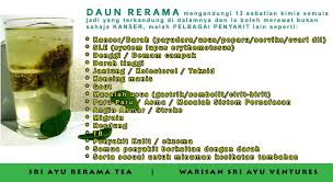 Savesave daun rerama for later. Teh Kanser Daun Rerama Manfaat Teh Kanser Daun Herba Rerama Sri Ayu