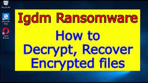 Karena windows akan menampung file yang terhapus tersebut pada folder recycle bin terlebih easeus data recovery mampu mengembalikan lebih dari 1000 jenis format file mulai dari gambar, video, dokumen, musik dan masih banyak lainnya. Igdm Virus Ransomware How To Decrypt Igdm Files Igdm File Recovery Guide Youtube