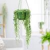 Estas dan un bello efecto cascada, por lo solas o acompañadas de otras plantas, crean un aspecto perfecto para cualquier estilo de decoración. 1
