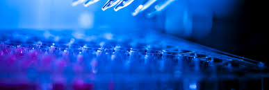 There is no proven way to cheat a hair follicle drug test using hair products. Hair Exposure Testing Childguard Usdtl