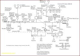 Medical Genogram Template Grantlewis Me