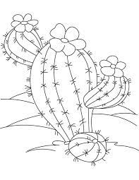 desert cactus coloring page embroidery pattern pages paintings coloriage ange nuage
