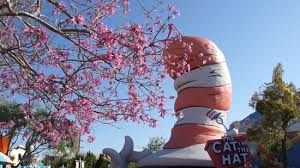 Trees and blooms nursery and garden center is a locally owned family business create new account. Spring Spotted In Orlando S Theme Parks Look For The Spectacular Tabebuia Trees Attractions Magazine
