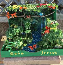 Biome In A Box Tropical Rainforest Most Items Were Purchased At Dollar Tree Amazon Rainforest Project Rainforest Crafts Habitats Projects