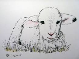 Black And White Sheep Drawing Lamb Sheep Drawing Animal Drawings Farm Animal Paintings