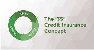 Credit insurance is debt cancellation coverage that is sold by lenders, including banks, credit unions, auto dealers, and finance companies. The 3s Credit Insurance Concept
