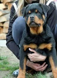 We did not find results for: Hernan Gonzalez Hernan4541 Profile Pinterest