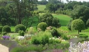 Xa Jean Tollemache Msgd Society Of Garden Designers
