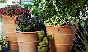 Az guide arizona state flower: Plant Stand Arizona