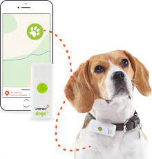 Wann haben sie sich das letzte mal sorgen um ihren hund gemacht, als er ihnen davon lief. Gps Tracker Fur Hunde Weenect Dogs