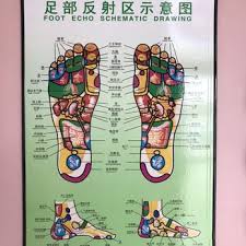 Chart Of Reflexology Points On The Feet Yelp