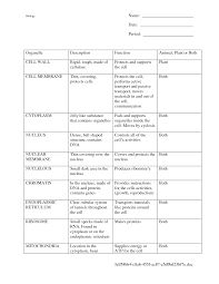 Cells And Their Organelles Worksheet Answer Key Biology Worksheet Cells Worksheet Cell Organelles