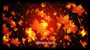 Particles Fall Leaves Animation Vjloops Background Halloween Fall Autumn Abstract Photography Autumn Leaves Optical Illusions