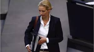 Die chancen stehen gut, dass seehofer eine niederlage im verfahren kassiert. Weidel Alice Weidel Uber Kindlichkeit Gesellschaftskritik