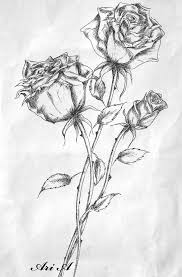 Roses By X Thesmallprint X Roses Drawing Rose Drawing Flower Drawing