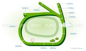 The track can be found in the eastern suburbs, just over 3 miles from the city center and. Randwick Racing Picks Today S Betting Picks For Randwick Races Olbg Com