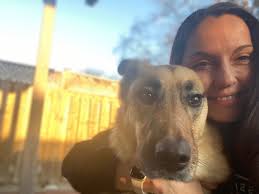 Park Animal Hospital